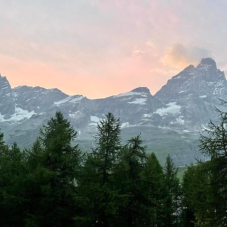 Alfastudio Breuil-Cervinia Dış mekan fotoğraf