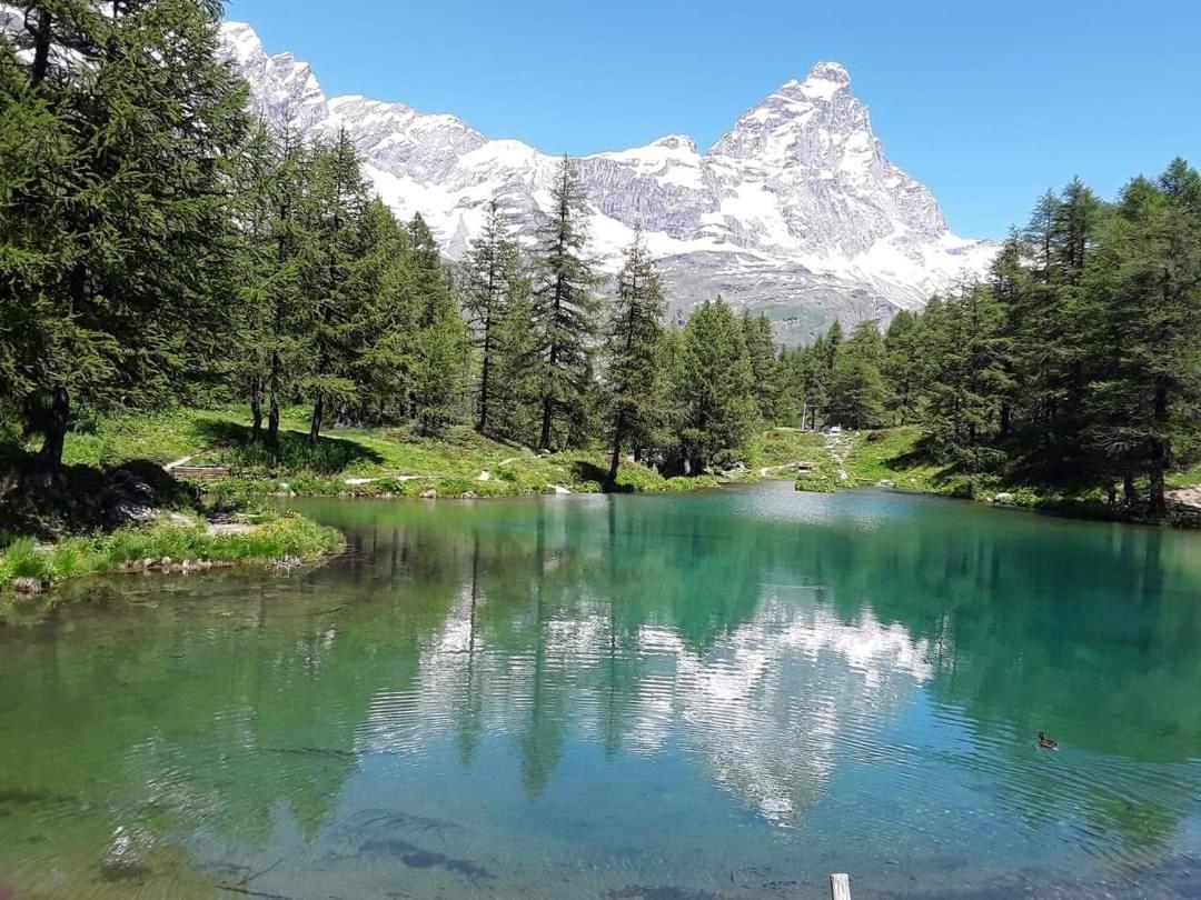Alfastudio Breuil-Cervinia Dış mekan fotoğraf